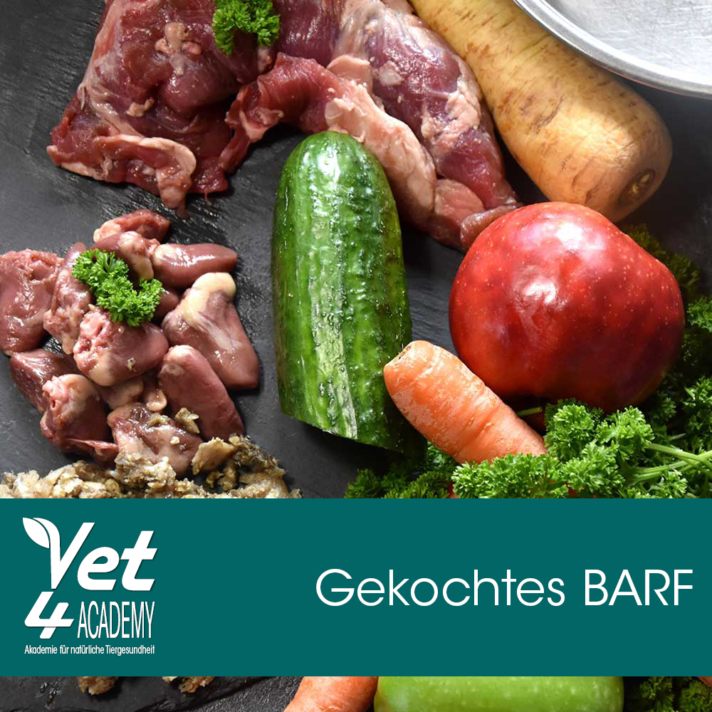 Videoaufzeichnung - gekochtes BARF - wenn roh nicht vertragen wird oder der Hund mäkelt